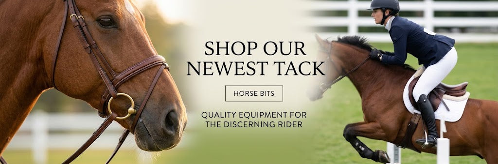 Horse Ridier