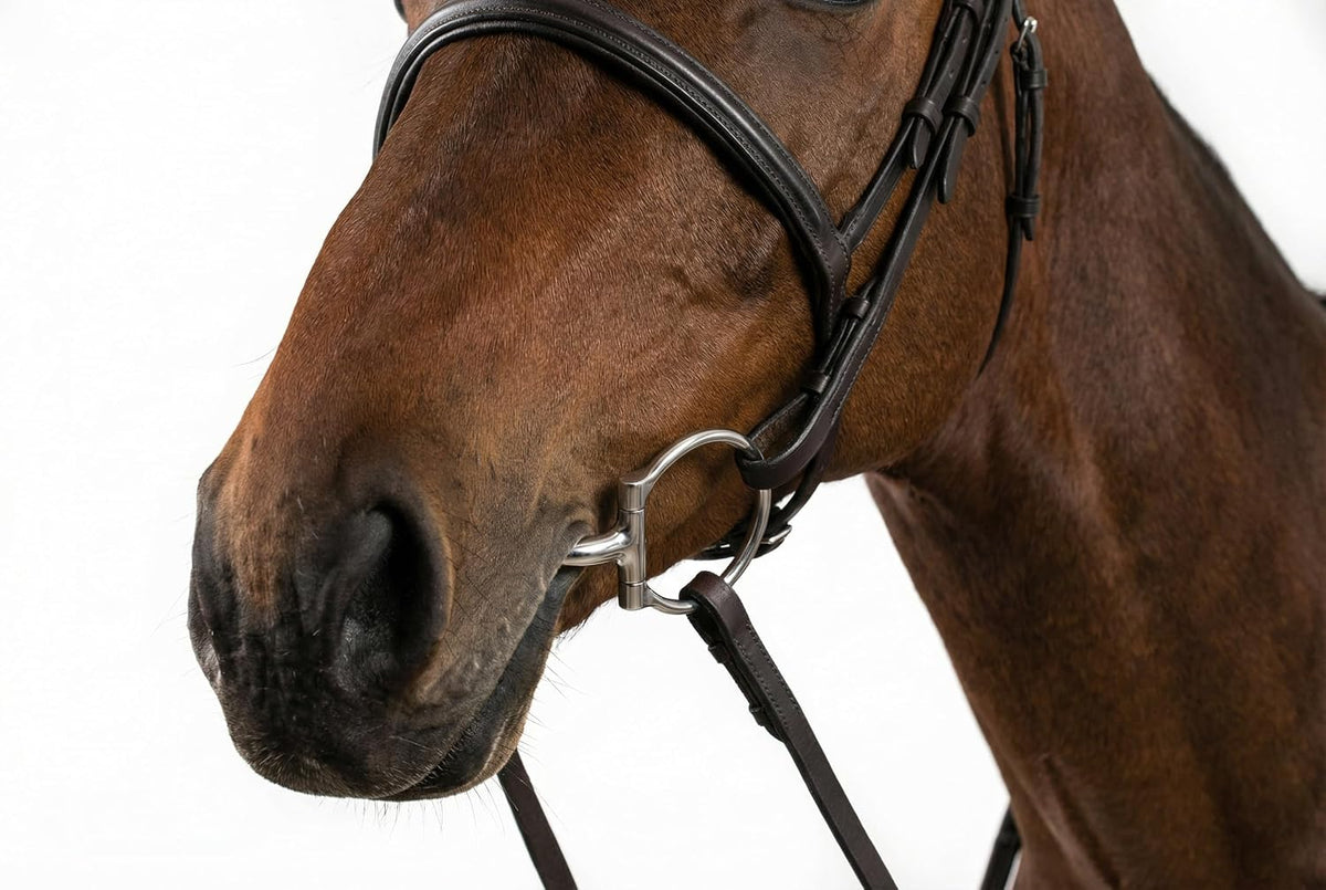 Western Horse D Ring Bit Double Joint Lozenge Snaffle Bits