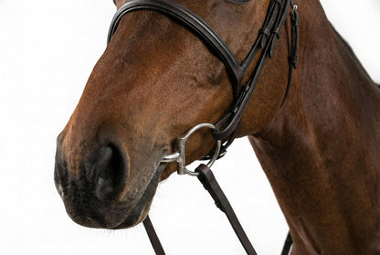 Western Horse D Ring Bit Double Joint Lozenge Snaffle Bits