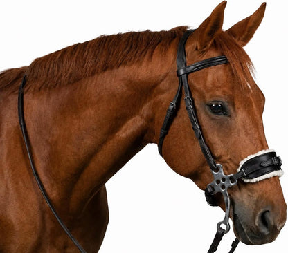 Hackamore Bridel