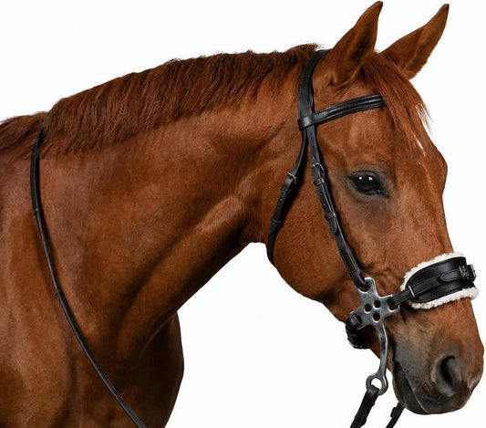 Hackamore Bridel