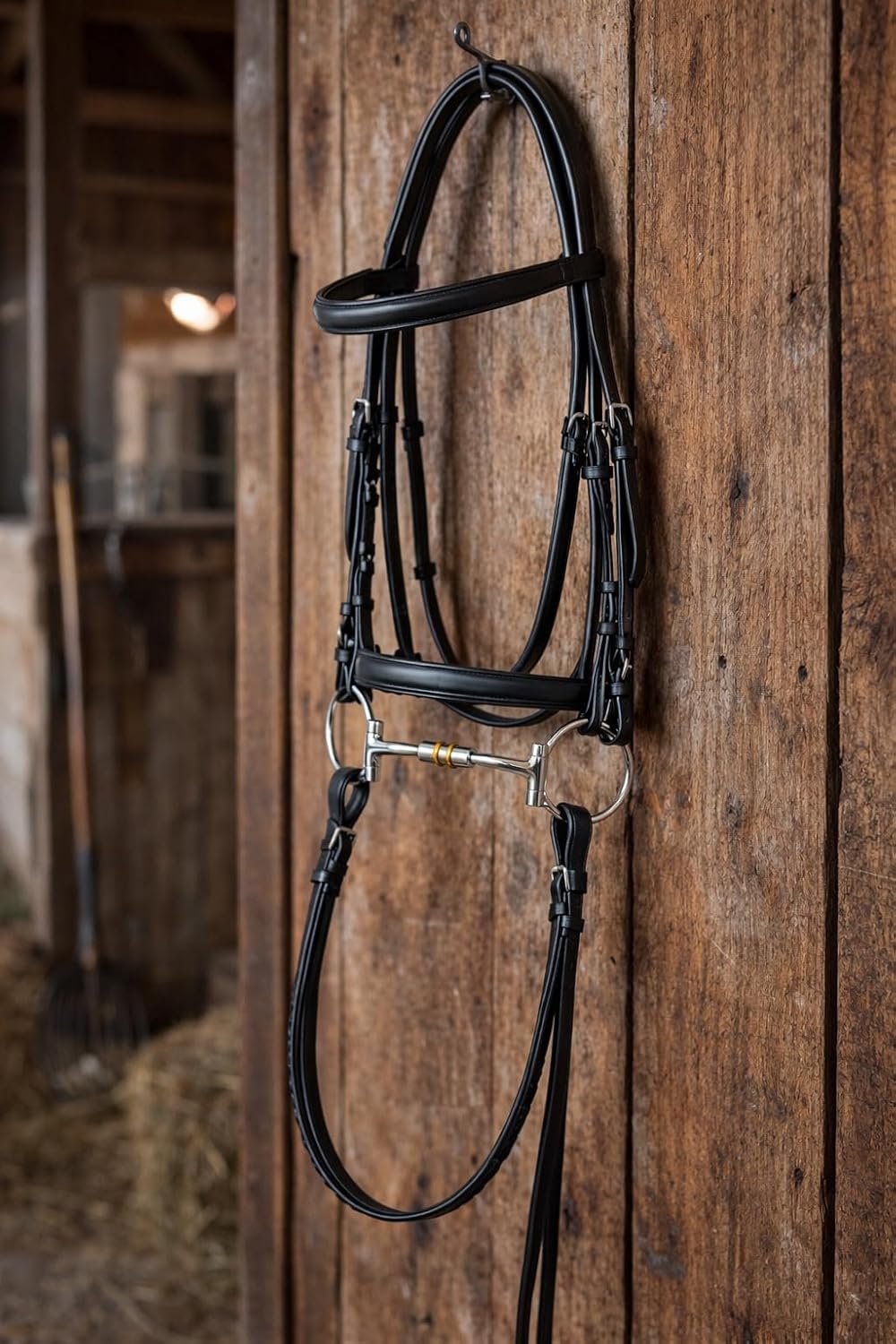 Western Horse D Ring Bit