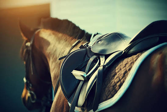 Saddle