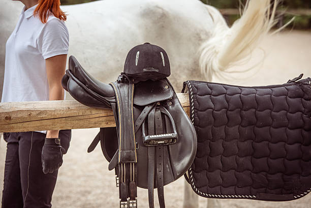 Horse Accessories