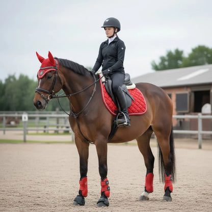 English Horse Matching Saddle Pad Set, Ear Net Brushing Boots & Bell Boots Set